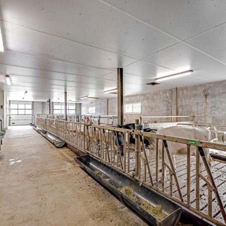 Hitzum, prachtig mooi modern melkveebedrijf op ruim 111 hectare (verkocht).