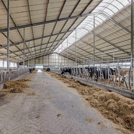 Hitzum, prachtig mooi modern melkveebedrijf op ruim 111 hectare (verkocht).