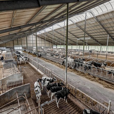 Hitzum, prachtig mooi modern melkveebedrijf op ruim 111 hectare (verkocht).