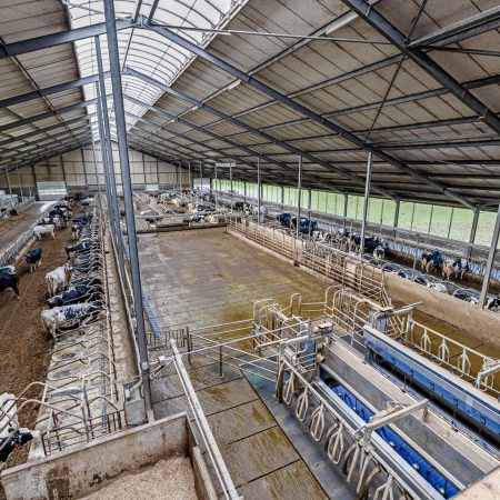 Hitzum, prachtig mooi modern melkveebedrijf op ruim 111 hectare (verkocht).