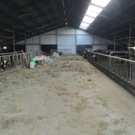 Molkwerum, vrij gelegen melkveebedrijf op 46 hectare kleigrond (verkocht onder voorbehoud).