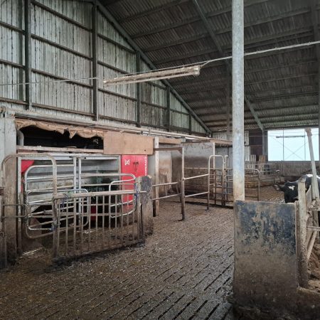 Molkwerum, vrij gelegen melkveebedrijf op 46 hectare kleigrond (verkocht onder voorbehoud).