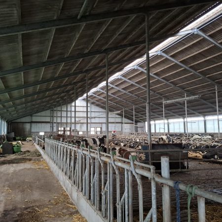 Molkwerum, vrij gelegen melkveebedrijf op 46 hectare kleigrond (verkocht onder voorbehoud).